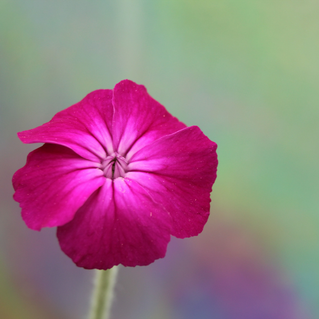 Be_Present